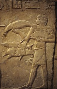 Ancient Egypt: Saqqarah: necropolis of the Old Empire, tomb of noble. Detail of reliefs representing a fisherman