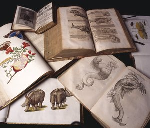 Ancient Zoology Books