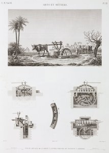 Animal-powered Irrigation, Egypt, c.1798