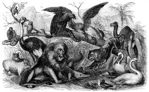 Animals Forbidden to be Eaten by Israelites