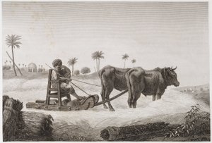 Threshing Machine, Egypt, c. 1798