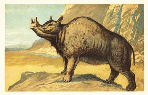 Brontops robustus or Megacerops robustus (lithograph)