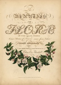 Calligraphic title page with botanical vignette by Unbekannt