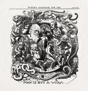 Cartoon on the Theory of Evolution by Charles Darwin: 