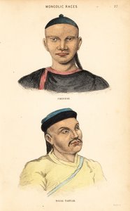 Chinese man and Tatar man of the Nogai Horde. Handcoloured steel engraving by Lizars after an illustration by Charles Hamilton Smith from his Natural History of the Human Species