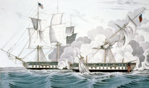 Constitution and Java