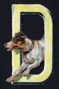 D like Dog. Beetle decoupis on the theme of animals. Engraving. Series of 26 waffle chromolithographs of English origin. End of the 19th century by Unbekannt