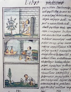 Edible plants, page from Book XI of the Florentine Codex, General History of the Things of New Spain, by Fray Bernardino de Sahagun