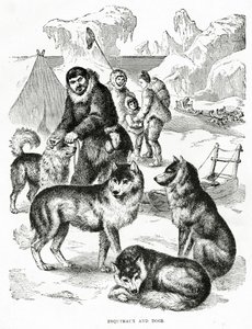 Esquimaux and Dogs. 1902 by Unbekannt