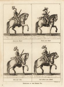Exercise of the horse