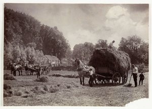 Farming Scenes, Harvesting & Storage, Pre-1900 Haymaking, c 1890 by Unbekannt