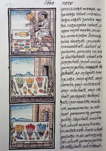 Feather processing after the Spanish conquest, page from Florentine Codex, General History of Things of New Spain, by Fray Bernardino de Sahagun by William M. Timlin