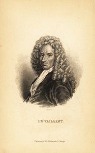 Francois le Vaillant, French author, explorer, naturalist and ornithologist by Unbekannt