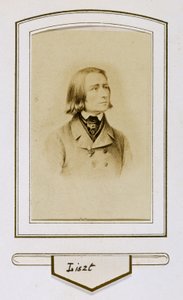 Franz Liszt when young by Unbekannter Künstler