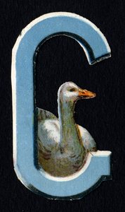 G like Goose. Beetle decoupis on the theme of animals. Engraving. Series of 26 waffle chromolithographs of English origin. End of the 19th century by Unbekannt