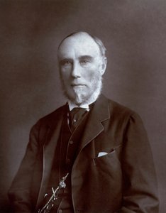 Half-length portrait of the Viceroy of the Indies Thomas Baring Count of Northbrook by Unbekannter Künstler