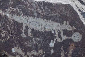 Indian Petroglyphs representing animals - Petroglyph National Monument - Albuquerque, New Mexico, USA
