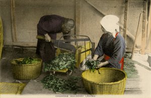 Japanese workers chopping Mulberry leaves by Unbekannter Künstler