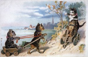 Kittens in sleds