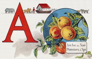 Letter A: Noe