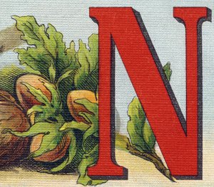 Letter N: hazelnuts