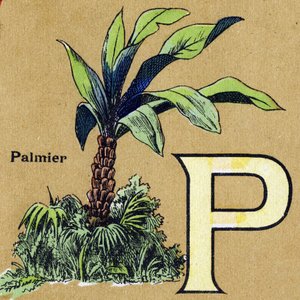 Letter P as Palm Tree. Illustrated Alphabet. Imageries Reunited in Jarville-Nancy, Beginning of the 20th Century