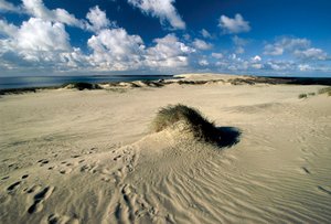 Moving sand dunes called Prussian Sahara, Curonian Spit, Nida by William M. Timlin