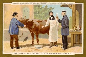 Louis Pasteur working to find a cure for Anthrax