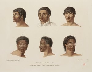 Maori tattoos
