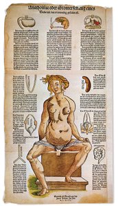 Anatomical board describing the female anatomy from a Renaissance medical treatise by Unbekannter Künstler