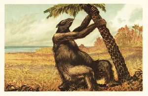 Megatherium Americanum Pulling on a Palm Tree by Unbekannter Künstler
