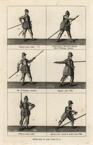 Military Exercises of the Pike