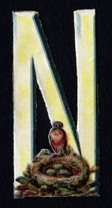 N like Nest. Beetle decoupis on the theme of animals. Engraving. Series of 26 waffle chromolithographs of English origin. End of the 19th century by Unbekannt