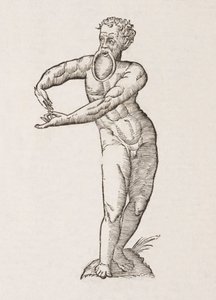 Nigrita labio inferiori pendulo by Unbekannt
