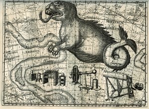 The Whale Constellation Represented as a Fantastic Animal with a Forked Tongue and a Long Tail