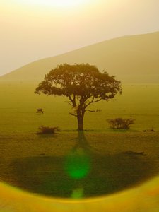 Paradise after the Rain, Chyulu Hills