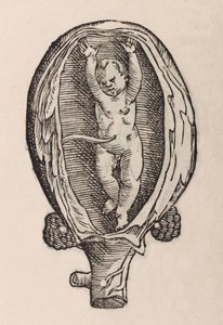 Non-Natural Birth with Hands Extended by Unbekannt