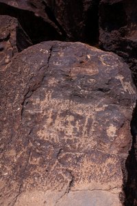 Petroglyphs depicting animals and characters - Petroglyph National Monument - Albuquerque, New Mexico, USA