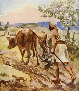 Ploughman Working with Ox-Drawn Plough