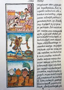 Processing feathers, text in Nahuati, from facsimile of manuscript General History of Things of New Spain, also known as Florentine Codex, by Bernardino de Sahagun by William M. Timlin