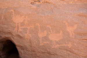 Rock art, Prehistory: Engraving of a group of ostriches, some obstructed and two characters in the Uweinat massif, Sudan (Period from 8000 to 3000 years BC). Photography