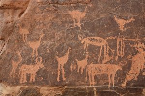 Detail of an Engraving of a Set of Ostriches and Cattle in the Uweinat Massif, Egypt by Unbekannt