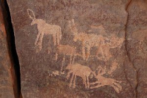 Engraving of a Set of Antelopes and a Dog in the Uweinat Massif, Egypt by Unbekannt