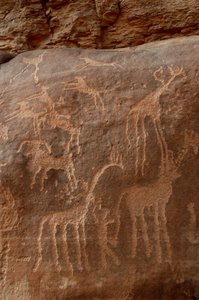 Engraving of Giraffes, Ostriches, Sheep, Dog and Character in the Uweinat Massif, Sudan