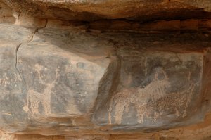Rock art, Prehistory: Engraving of three cattle in the Uweinat massif, Sudan