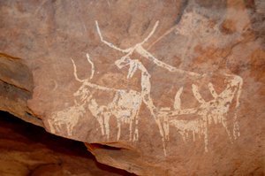 Rock art, Prehistory: Rock painting cattle with big horns in a shelter adorned in the Uweinat massif, Sudan. Period from 8000 to 3000 years BC. Photography