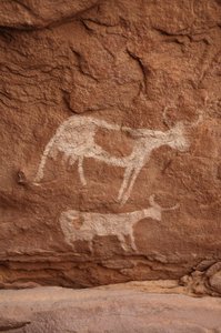 Rock art, Prehistory: Rock painting of two cows with large horns in an ornate shelter, in the Uweinat massif, Sudan (Period from 8000 to 3000 years BC). Photography by Unbekannt