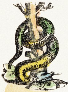S - Serpent - Child Entertainment Alphabet c.1890