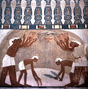 Scene of wheat wrecking, tomb of Nakht, room of the tomb of nobles. Valley of the Nobles. Site of Luxor, Egypt