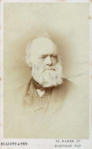Sir Charles Lyell, English geologist, c 1865-1875